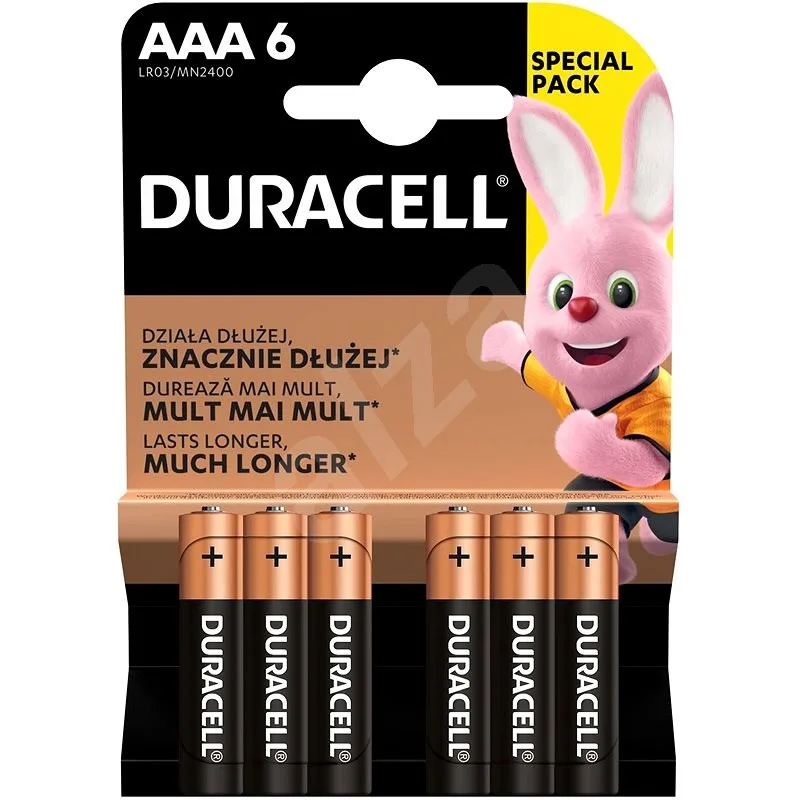 DURACELL Basic AAA 6/1