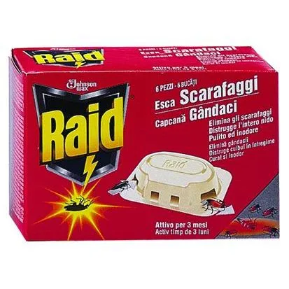 Raid Zamka Bubasvabe 6/1