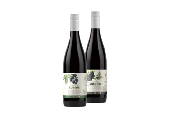 Set vocno vino kupine 0750 + vocno vino aronije 0750 Vino Zupa