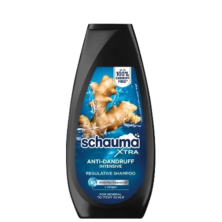 Šampon Anti Dandr Int 350 ml Schauma